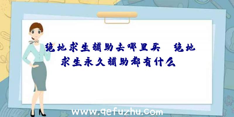 「绝地求生辅助去哪里买」|绝地求生永久辅助都有什么